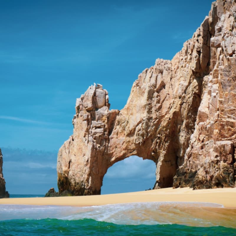 Cover Image for 2026 Black Card Cabo Cruise