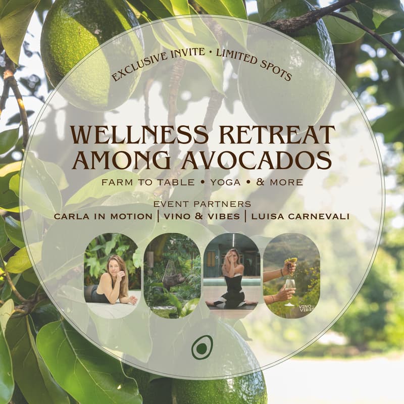 Cover Image for Wellness Retreat: Among Avocados