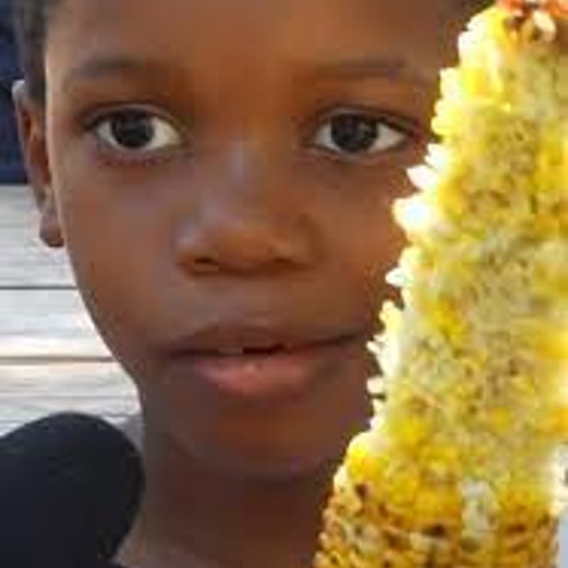 Cover Image for Cornhole & Corn dogs w/ Pelion and JP Morgan