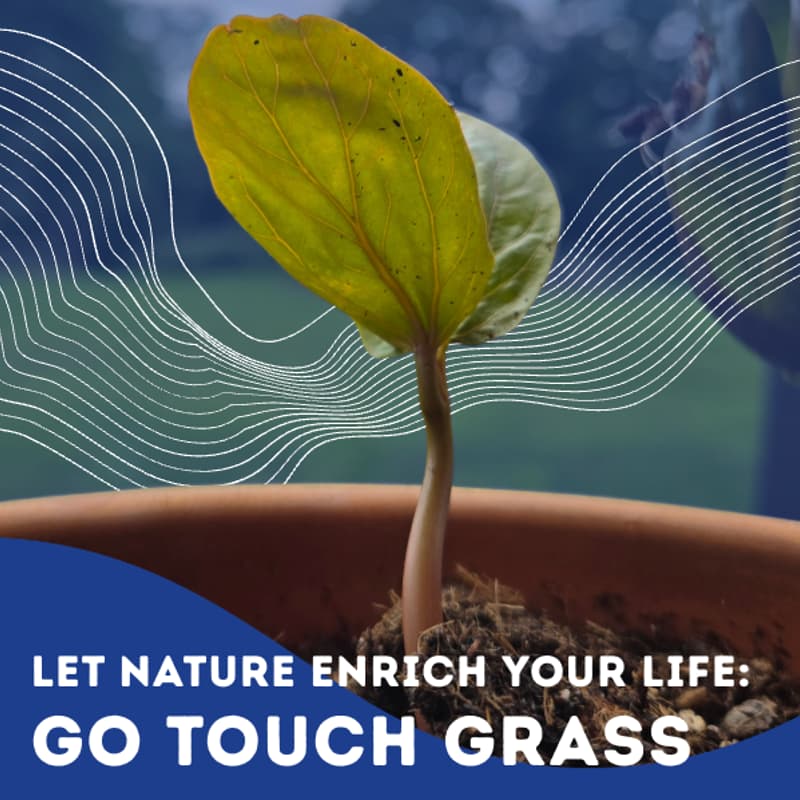 Cover Image for Go Touch Grass