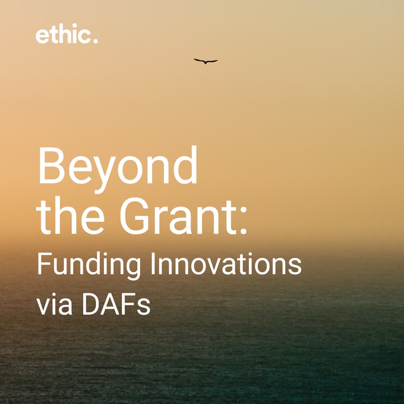 Cover Image for Beyond the Grant: Funding Innovation in DAFs