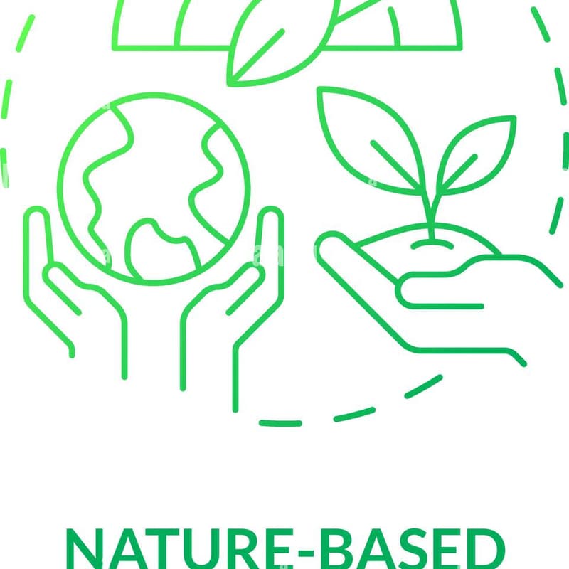 Cover Image for Harnessing the Power of Biology to Combat Climate Change: From Ecosystem Restoration to Carbon Capture