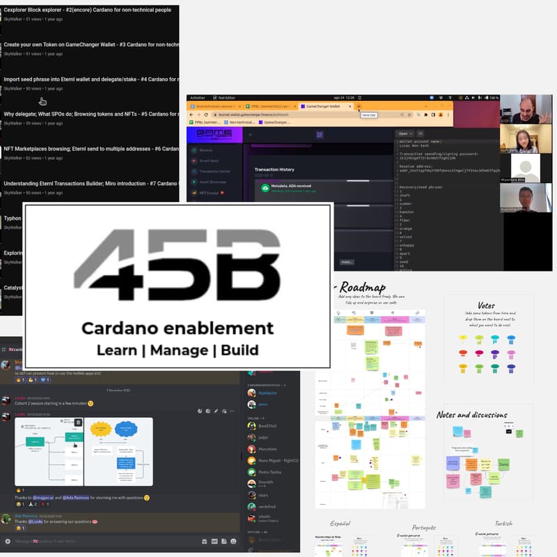 Cover Image for 45B Open hour