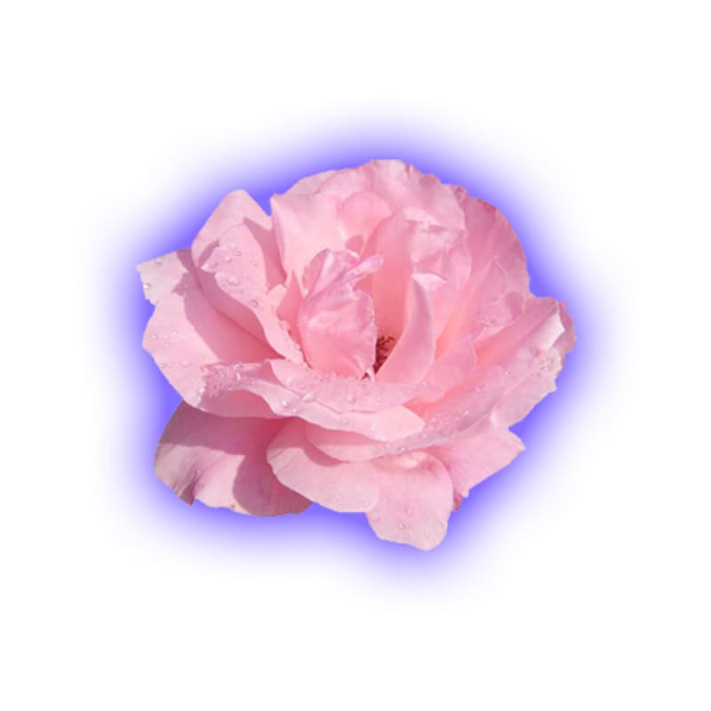 Cover Image for ⚡ Imposter Syndrome Breakthrough: Reclaim your inner power