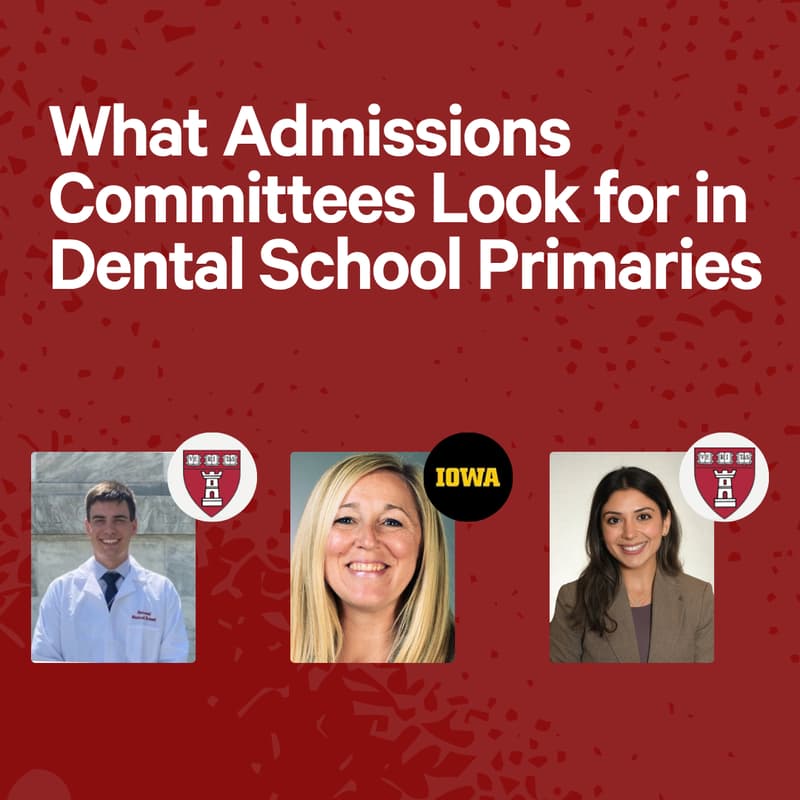 Cover Image for What Admissions Committees Look for in Dental School Primaries