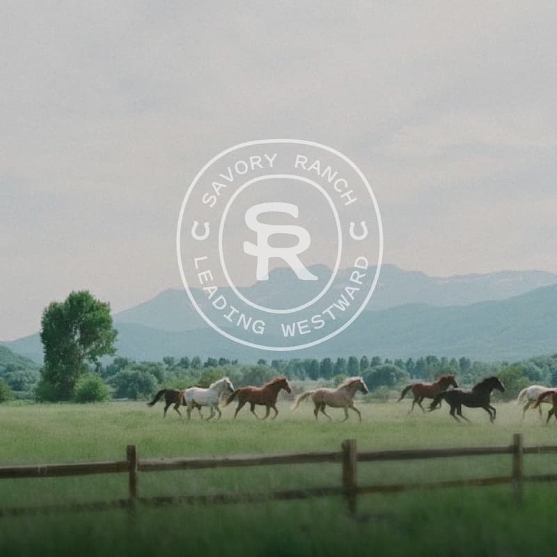 Cover Image for Savory Soirée 2026