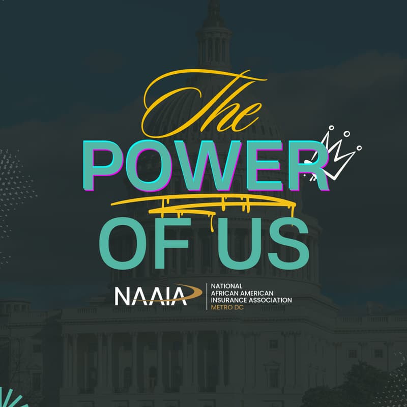 Cover Image for The Power of Us - Hosted by NAAIA DC METRO