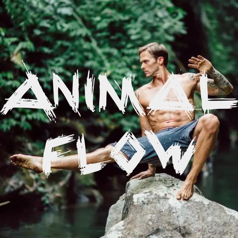 Cover Image for ANIMAL FLOW: Unleash Your Primal Power