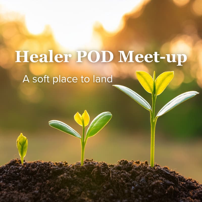Cover Image for Healer Pod Meet-Up