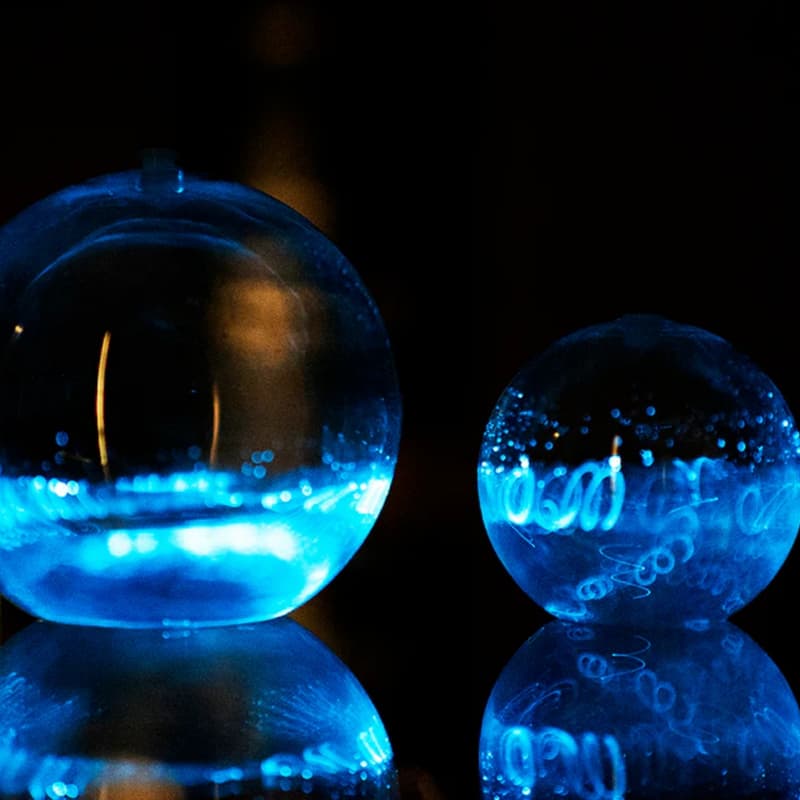 Cover Image for Bioluminescent Dinoflagellates 🦕 Take home a glowing Halloween magic potion! 🧙