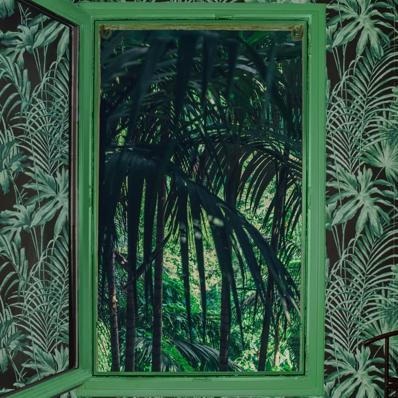 Cover Image for OPENING LETIZIA LE FUR