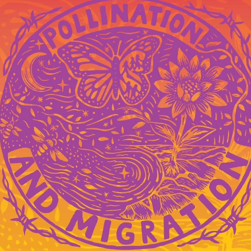 Cover Image for Pollination and migration