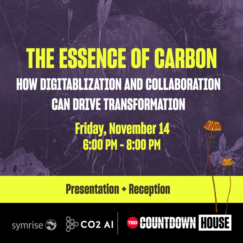 Cover Image for The essence of carbon: How digitalization and collaboration can drive transformation