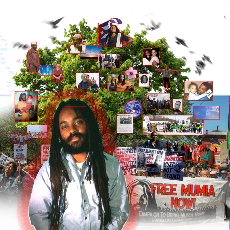 Cover Image for #MumiaWeek'26: March of Innocence