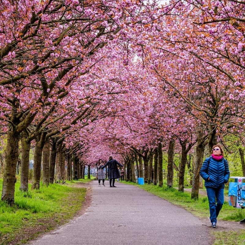 Cover Image for Beyond the Stage: Women Shaping AI for the Real World