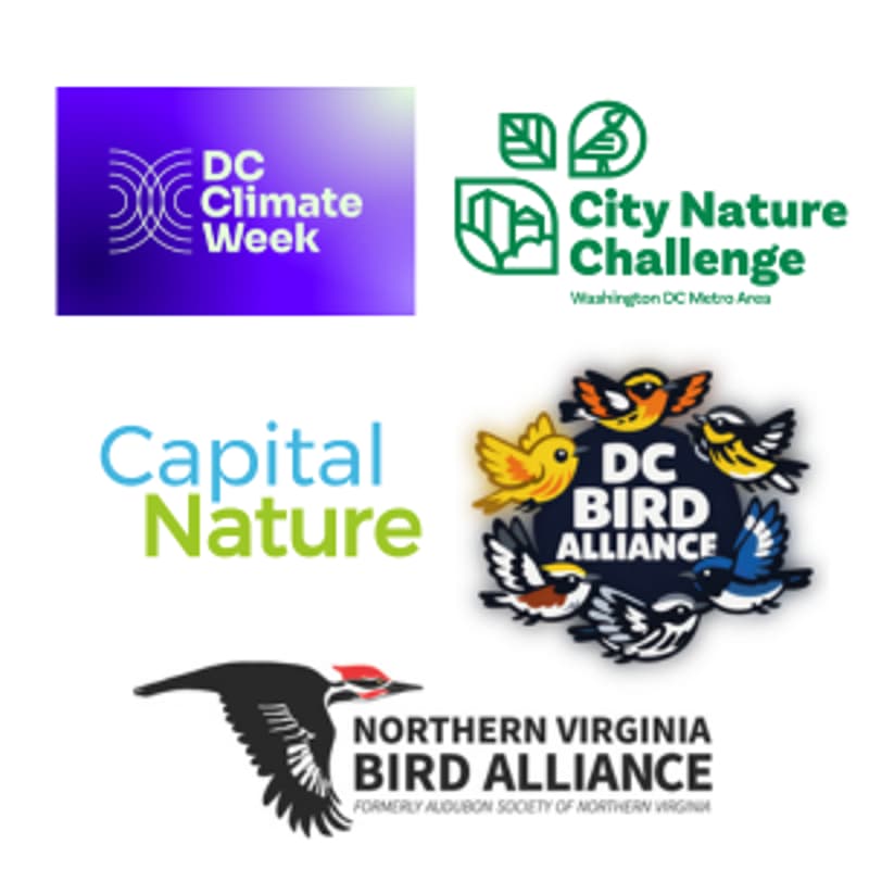 Cover Image for Bird Walk + City Nature Challenge at Theodore Roosevelt Island - Presented at DC Climate Week