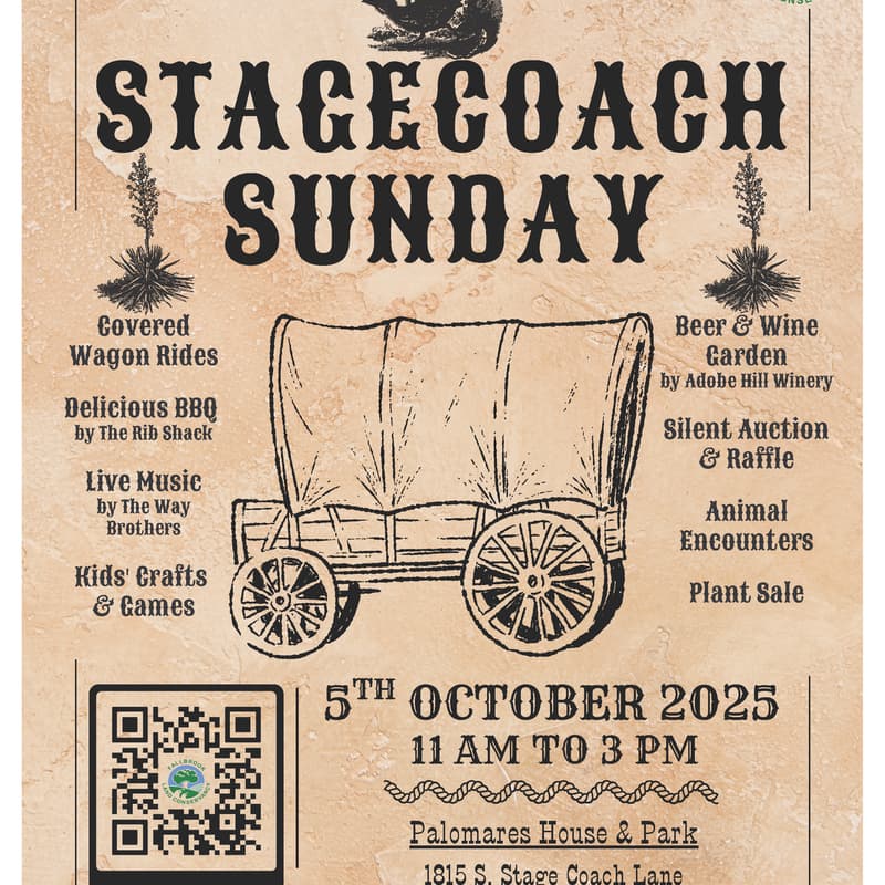 Cover Image for Stagecoach Sunday