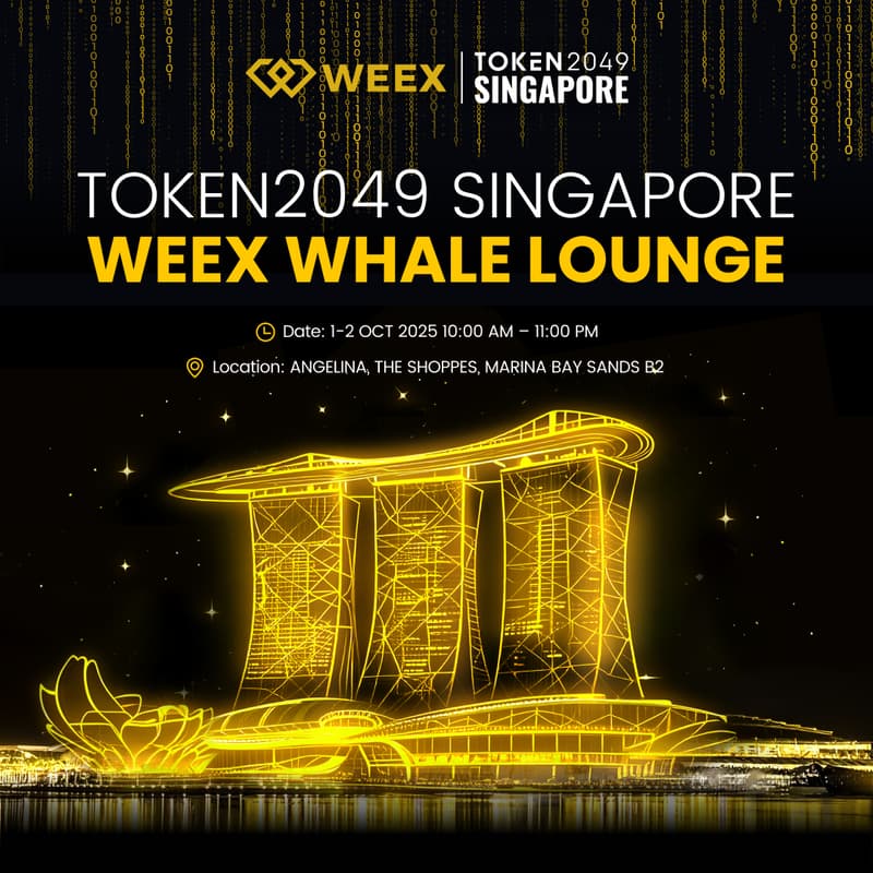 Cover Image for TOKEN2049 Singapore · WEEX Whale Lounge