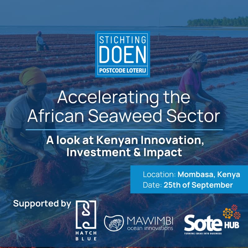 Cover Image for Accelerating the African Seaweed Sector: A look at Kenyan Innovation, Investment & Impact