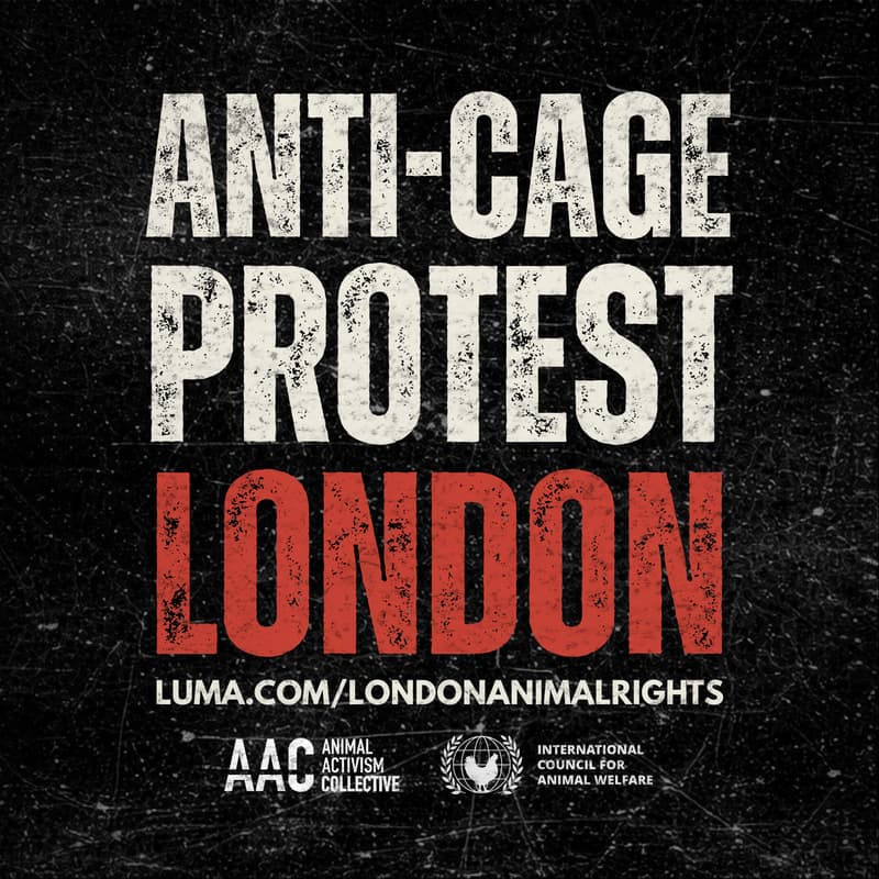 Cover Image for ANTI-CAGE PROTEST