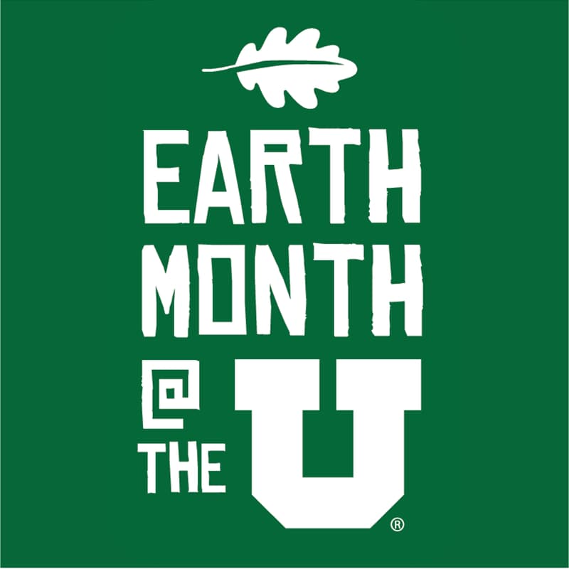 Cover Image for AI and the Planet: Sustainable Innovation in Higher Education