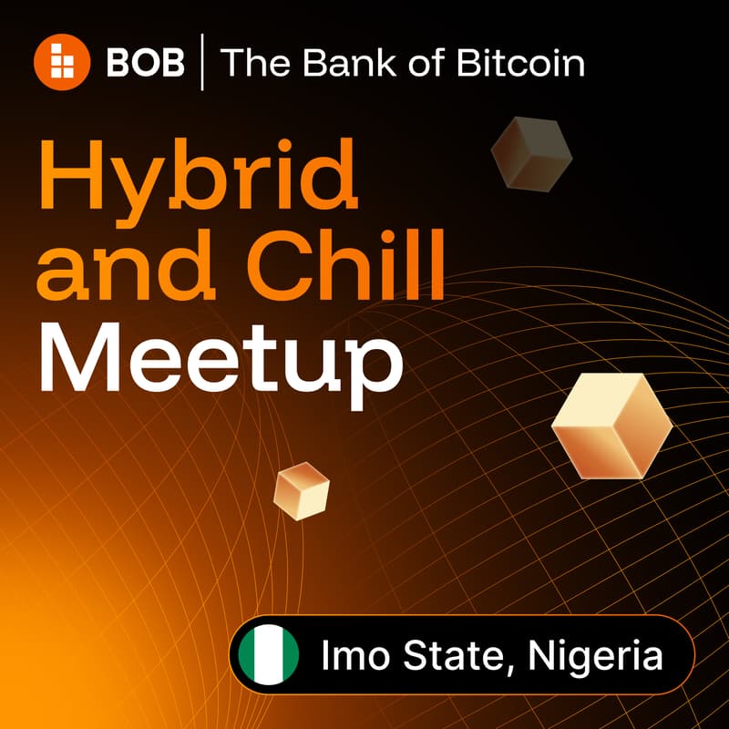 Cover Image for BOB Hybrid & Chill Meetup | Imo State 🇳🇬