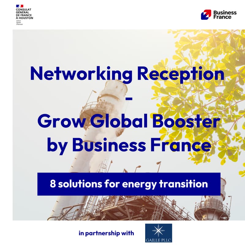 Cover Image for Networking Reception at the Residence of France in Houston