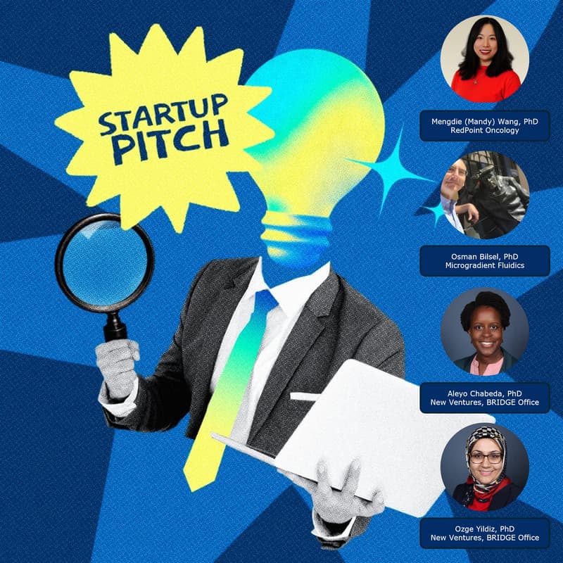 Cover Image for The Lunch Pitch