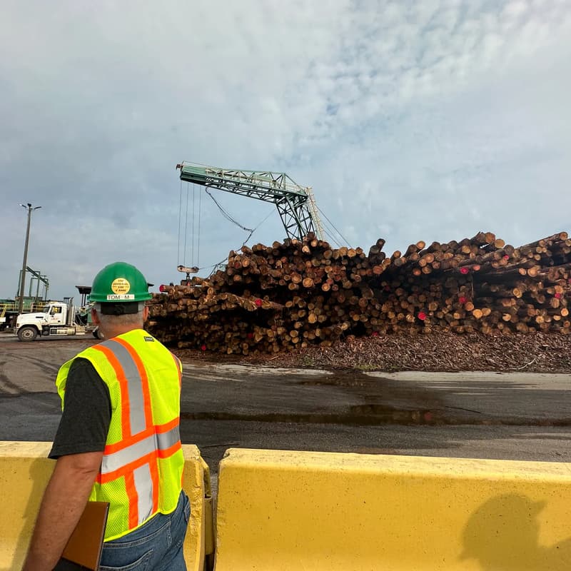 Cover Image for AMA: Wild Assets Biochar Carbon Credit Drop with Ascend x Wakefield Biochar