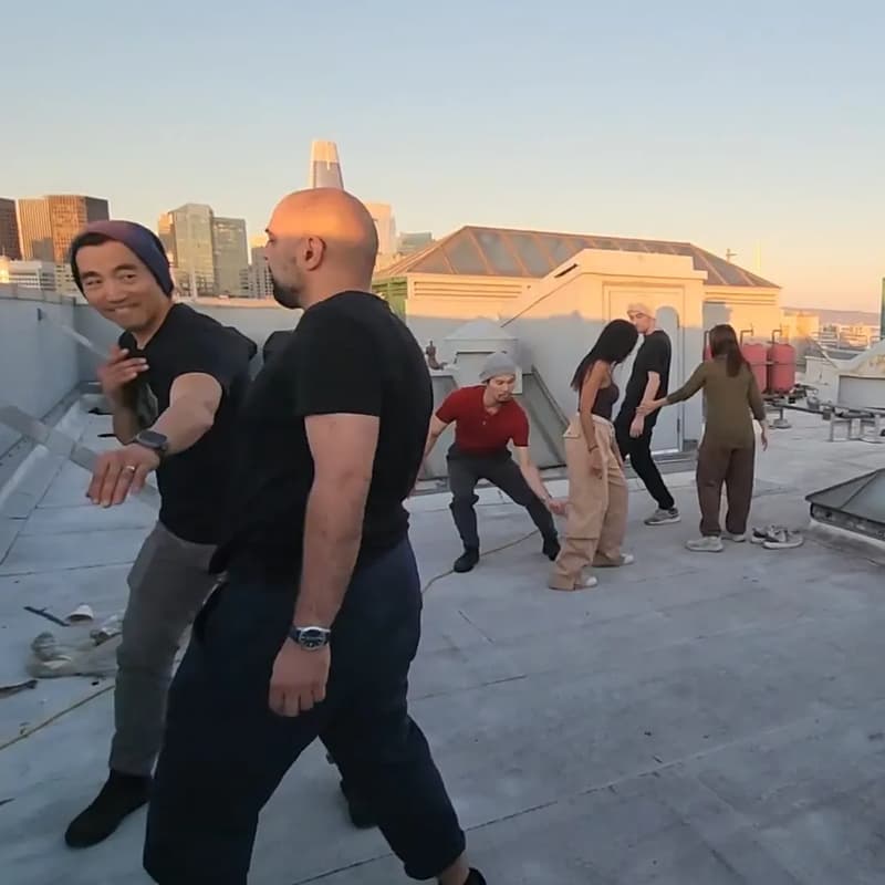 Cover Image for Shadow Martial Arts on Roof