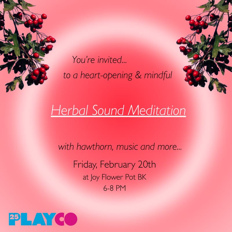 Cover Image for PlayCo Moments of Rest: Herbal Sound Meditation