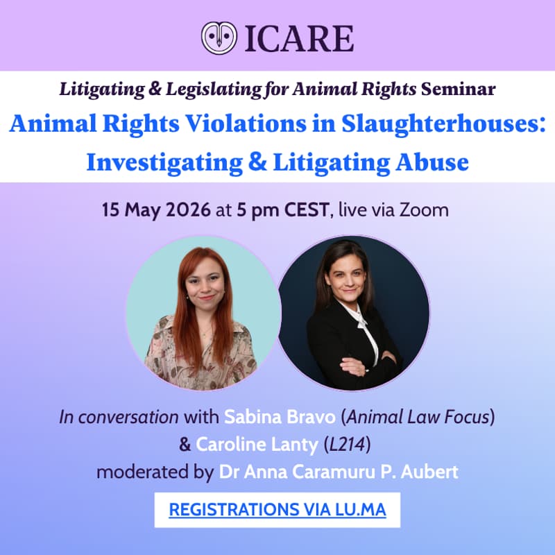 Cover Image for Animal Rights Violations in Slaughterhouses: Investigating and Litigating Abuse