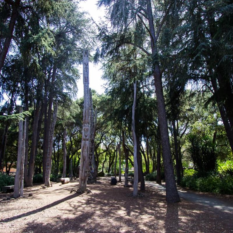 Cover Image for Climate Community Walk