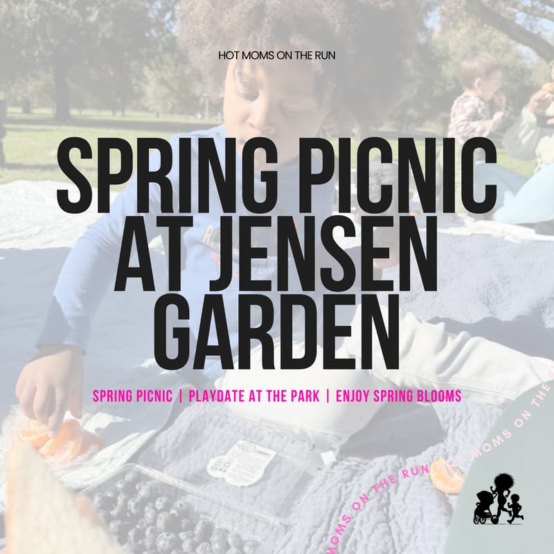 Cover Image for Spring Picnic Now: Library Play date
