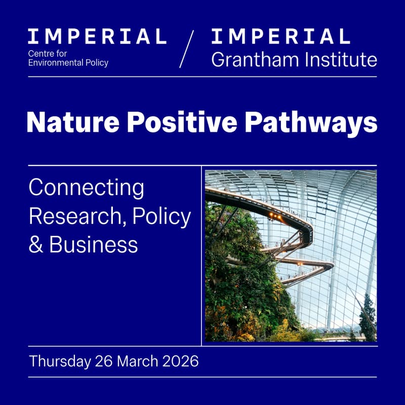 Cover Image for Nature Positive Pathways: Connecting Research, Policy and Business