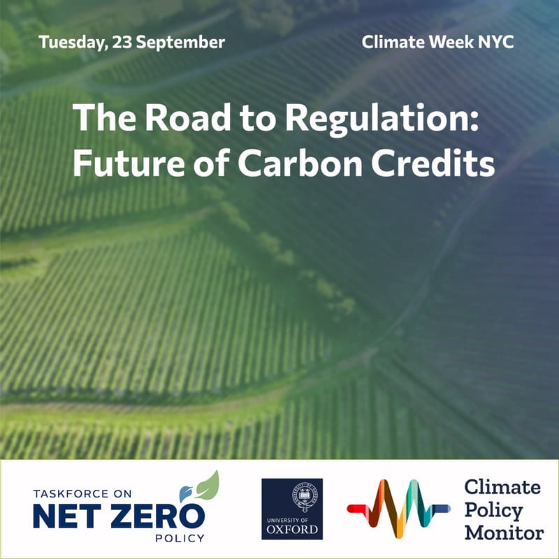 Cover Image for The Road to Regulation: Future of Carbon Credits