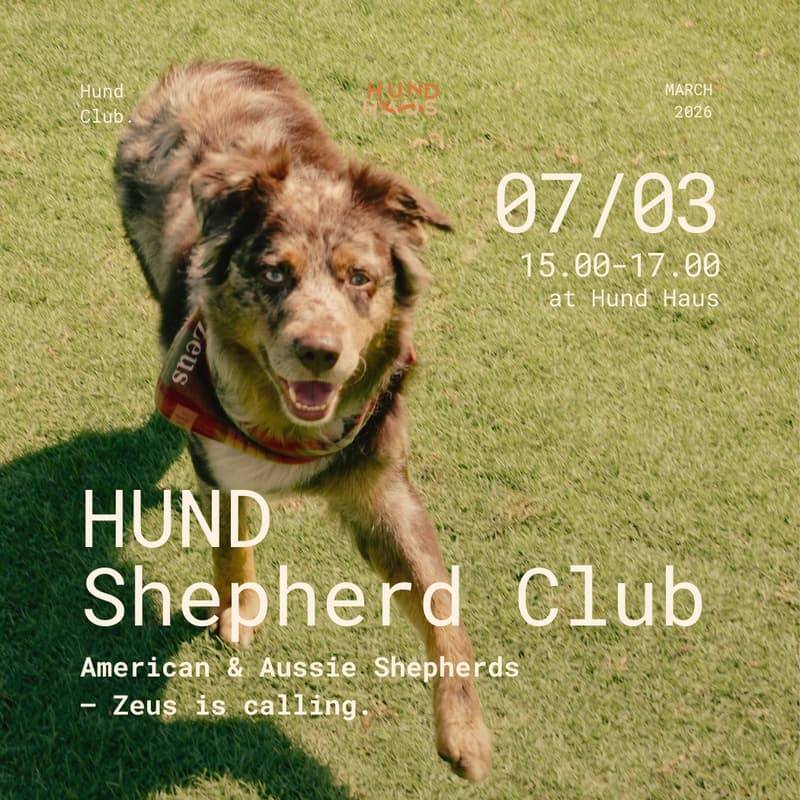 Cover Image for Hund Shepherd Club