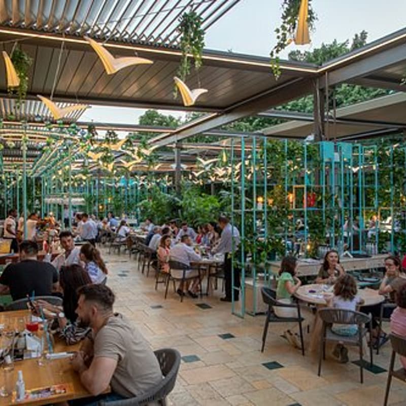 Cover Image for Petrecerea de 1 an: oamenii Turei împreună la Pescăruș