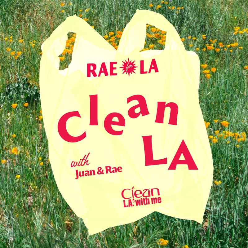 Clean LA w/ Juan and Rae · Luma