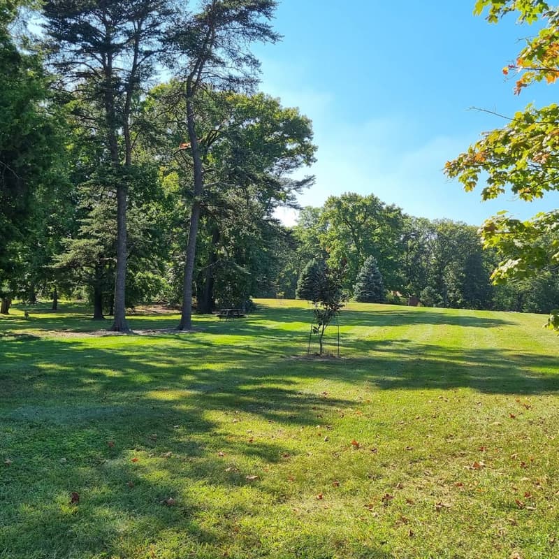 Cover Image for PauseAI Picnic