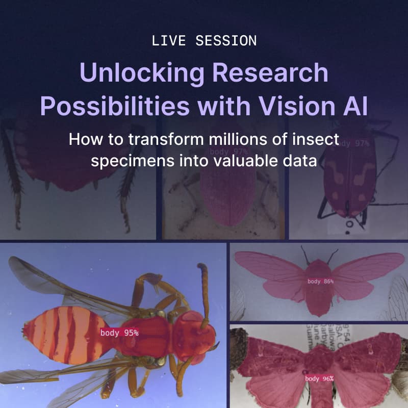 Cover Image for Accelerating Scientific Research with Vision AI