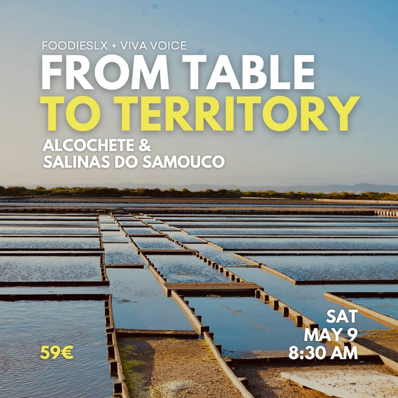 Cover Image for FoodiesLX Experiences: From Table To Territory, Alcochete & Salinas do Samouco