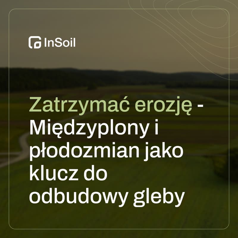 Cover Image for Zatrzymać erozję - Międzyplony i płodozmian jako klucz do odbudowy gleby