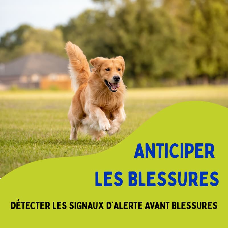 Cover Image for Detecter les signaux d'alerte avec une blessure