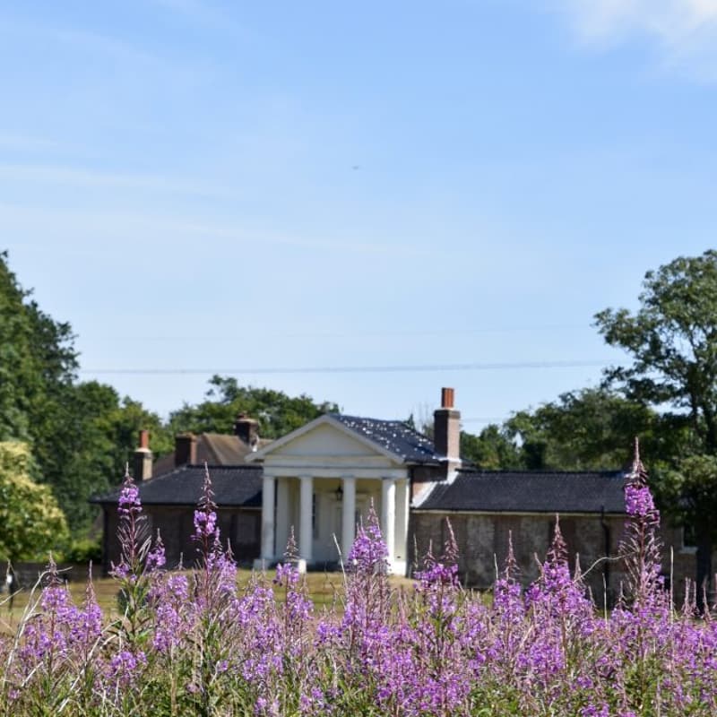 Cover Image for Wanstead Park Bluebell Walk🪻