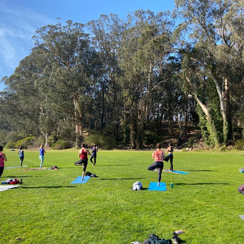 Cover Image for Friday Park Yoga : Flowing In Nature