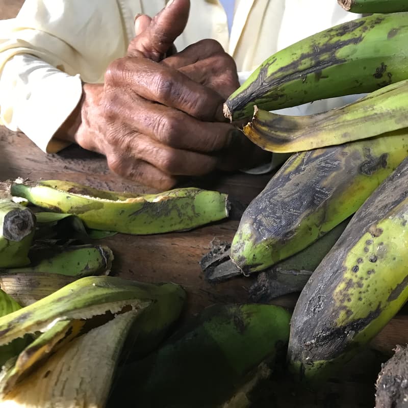 Cover Image for Livelihoods First: Investing in Community-Led Conservation in the Amazon