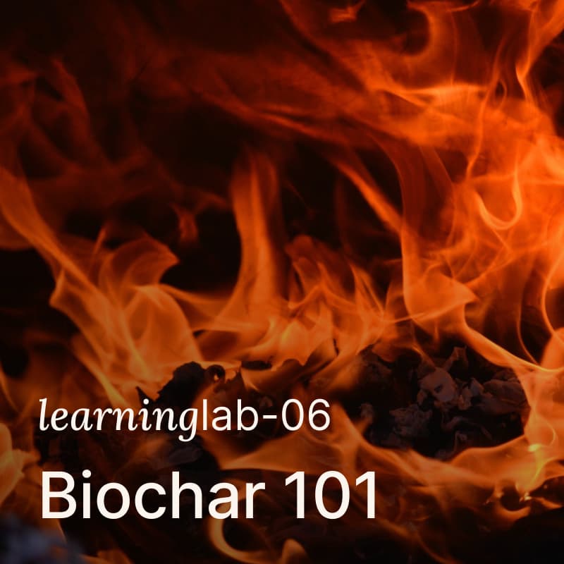 Cover Image for Learning Lab 06: Biochar 101, Healing Ecosystems with Regenerative Enterprise