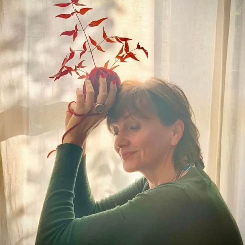 Cover Image for Masterclass: Menopausa, semplicemente.