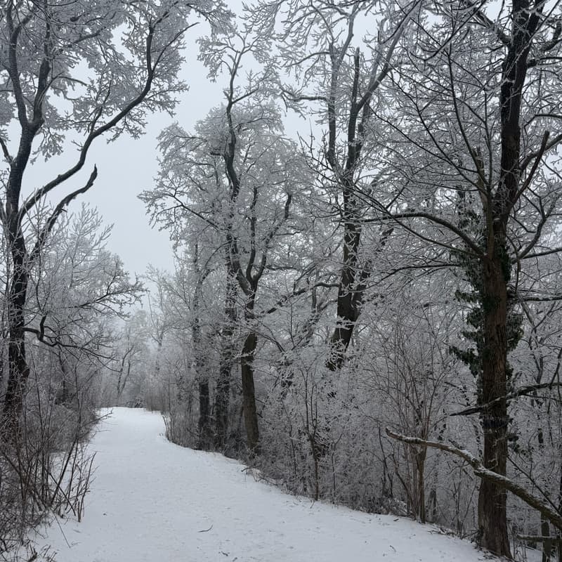 Cover Image for Big Hike - Vöslauer Hütte